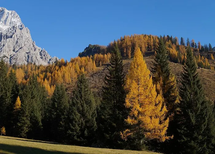 Am Sonnenhuegel Ξενοδοχείο Filzmoos