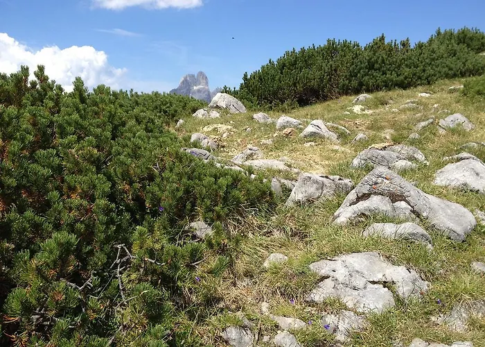 Ξενοδοχείο Am Sonnenhuegel 3*